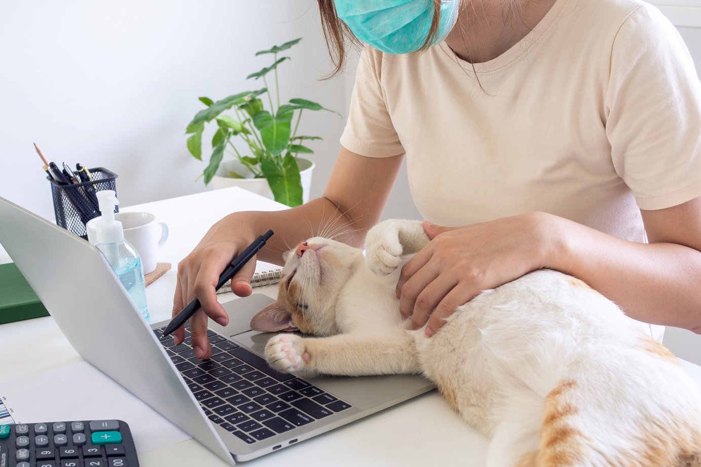 Student with Face Mask Studying at Home with Cat